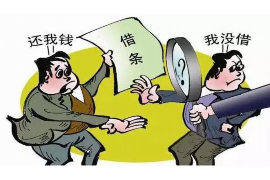 南阳如何避免债务纠纷？专业追讨公司教您应对之策